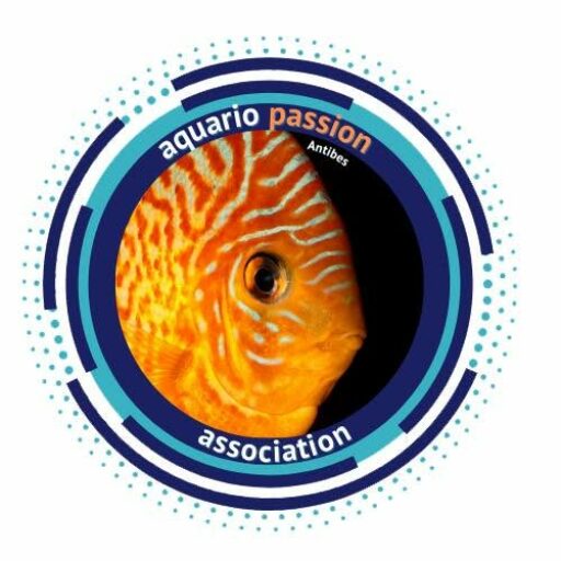 cropped-387875967_765255188738169_9061061183688361566_n-1 Liste des professionnels & associations 2027