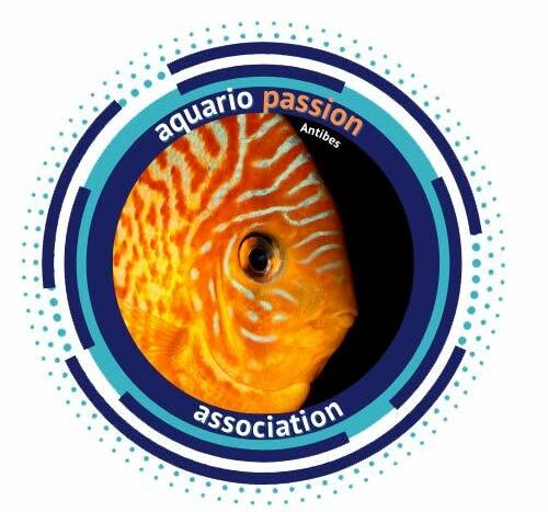 Aquario Passion Antibes