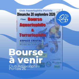 759803459_1038724588863431_7445828393868151584_n-300x300 Bourse aquariophilie & terrariophilie Portes les valences