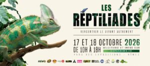813406568_1737447821716281_7232663202190486499_n-300x132 Utilisateur/utilisatrice