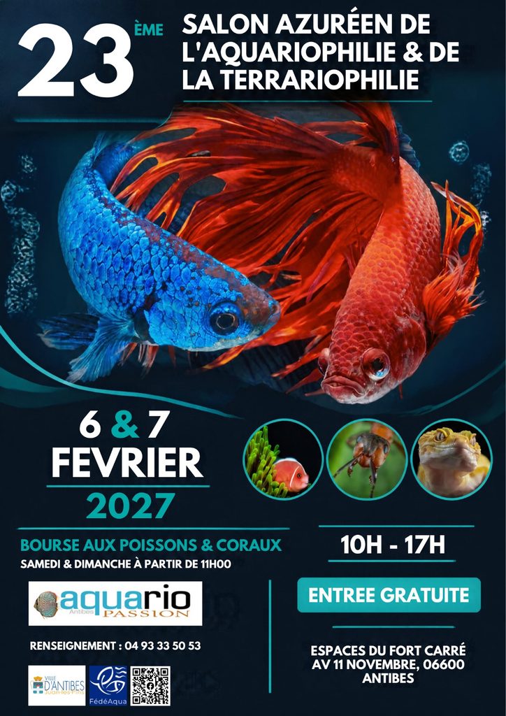 Affiche-Finale-Salon-2027-724x1024 23ème Salon Azuréen de l'aquariophilie et de la terrariophilie
